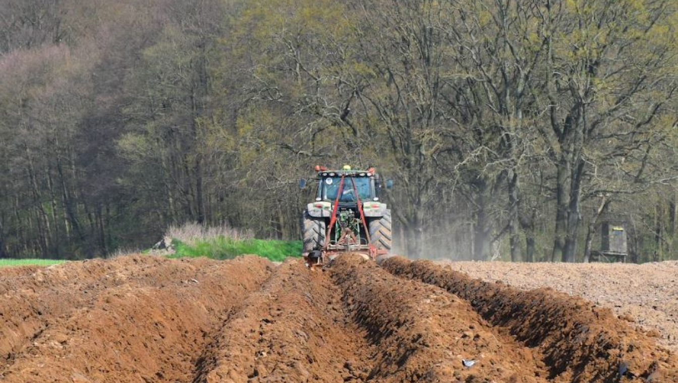 Klim_Lorenz_Regenerative Landwirtschaft