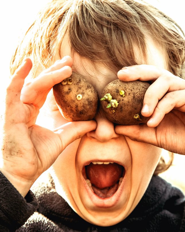 Qualität bei Lorenz