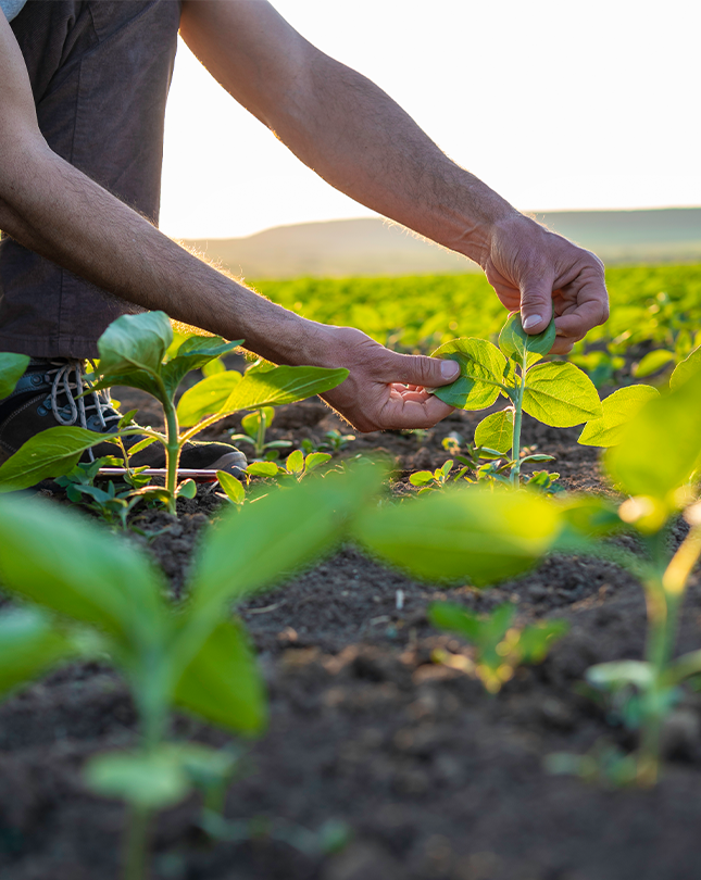 Lorenz Fortschrittsbericht 2024