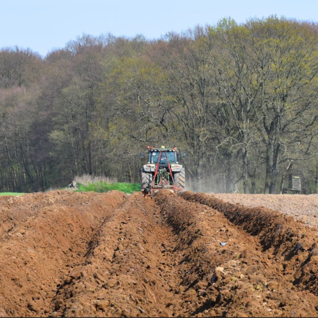 Klim_Lorenz_Regenerative Landwirtschaft